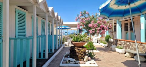 Property building, Patio, Garden, Garden, Garden view