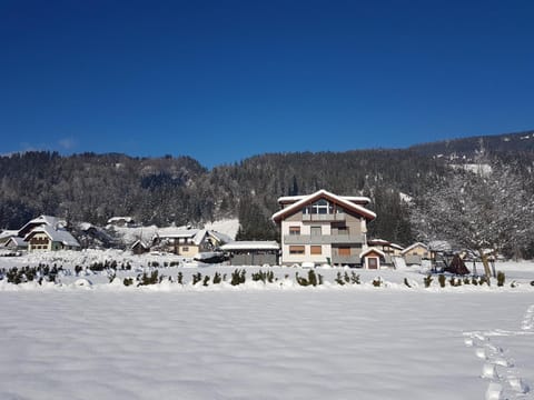 Property building, Winter