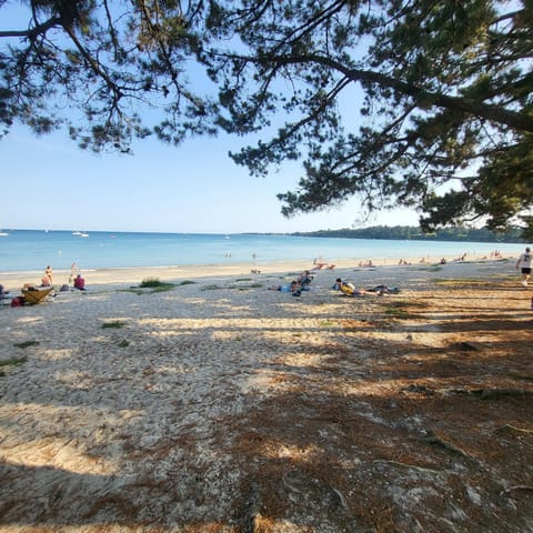 L'émeraude Apartment in Fouesnant