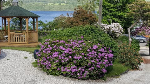 Bruach Lodge Apartment in Scotland