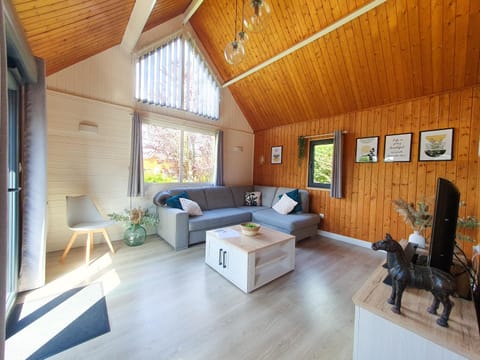 Communal lounge/ TV room, Living room, Seating area