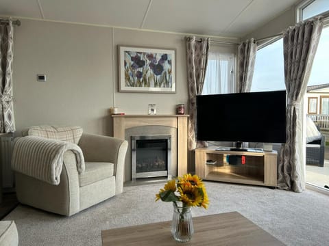 Caravan by the Sea D47 House in Towyn