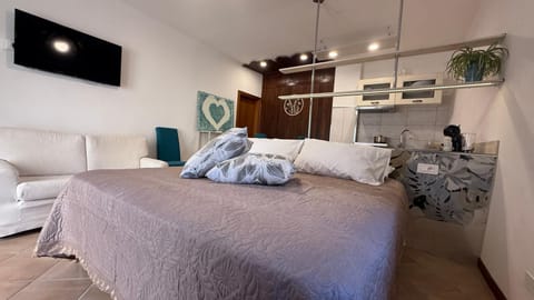 Bed, TV and multimedia, Photo of the whole room, Bedroom