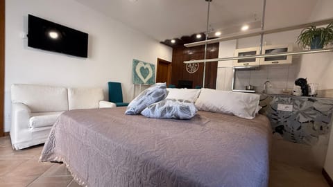 Bed, TV and multimedia, Photo of the whole room, Bedroom