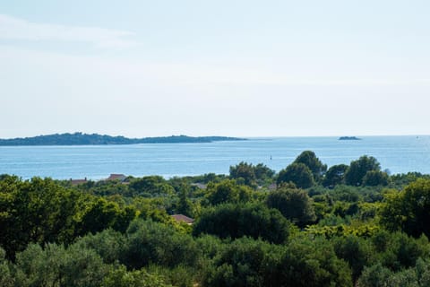 Villa Nini House with sea view in Pomer,Istria Villa in Fažana