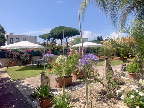 Il Giardino Di Adriana B&B Bed and Breakfast in Terracina