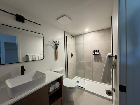 Shower, Bathroom, towels