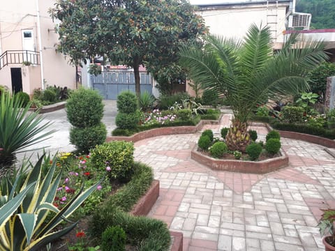 Patio, Garden