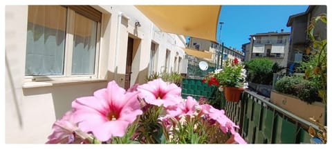 Balcony/Terrace, Balcony/Terrace