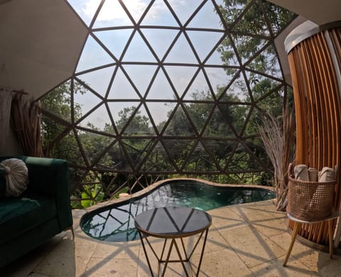 Natural landscape, Living room, Pool view, Swimming pool