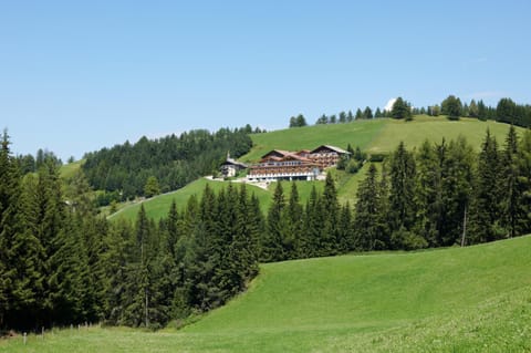 Property building, Natural landscape, Summer