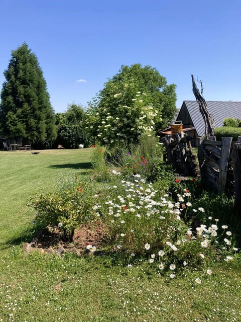 Day, Natural landscape, Garden, Garden view