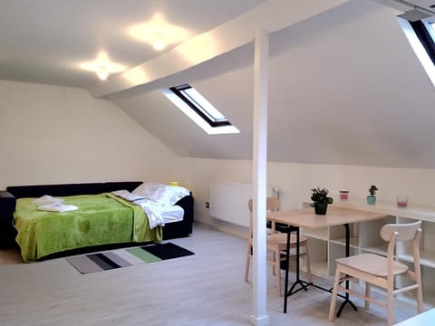 Comfortable mini loft in the heart of Brussels Apartment in Saint-Gilles