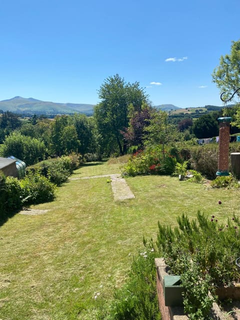 Garden, Mountain view