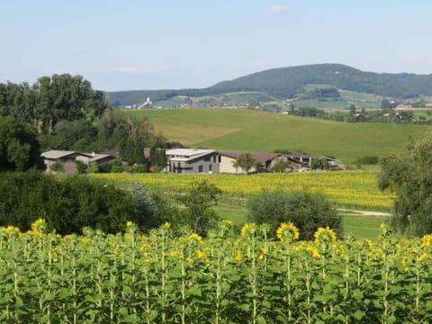 Property building, Spring, Day, Natural landscape