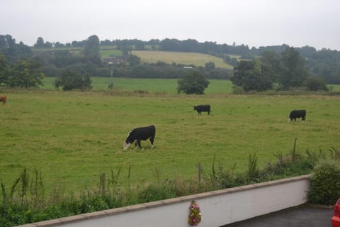 The Lilacs Bed and Breakfast in East Staffordshire District