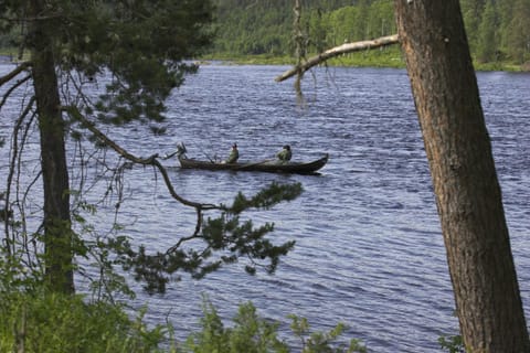 Natural landscape, Fishing, Beach