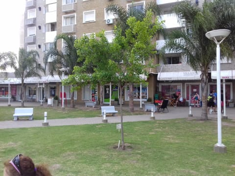 Shopping Area