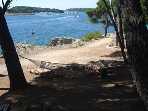 Neighbourhood, Natural landscape, Beach, Pets, Drinks