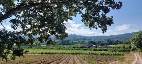 La Clemensane Apartment in Lacoste