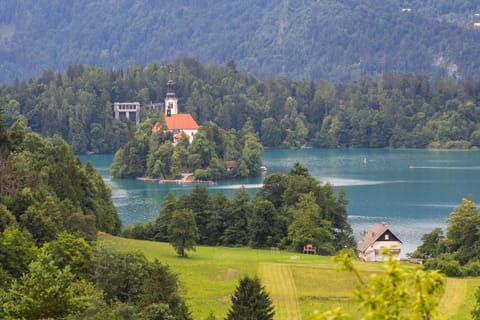 Nearby landmark, Lake view