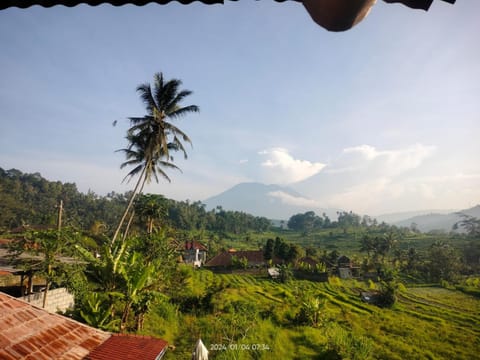 Mountain view