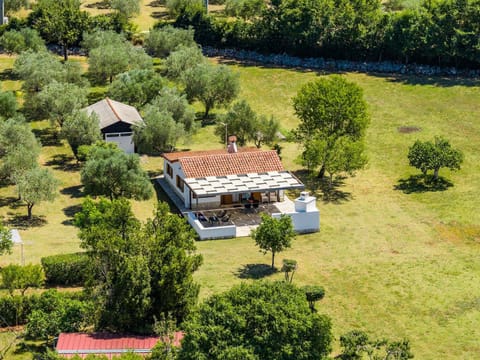 Property building, Day, Natural landscape, Bird's eye view, Garden, Garden view