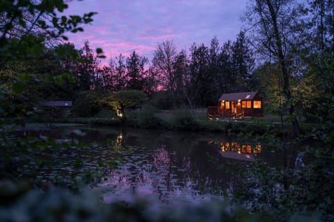 Natural landscape, Lake view, Sunset