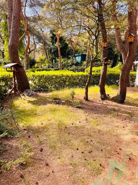Garden, View (from property/room)