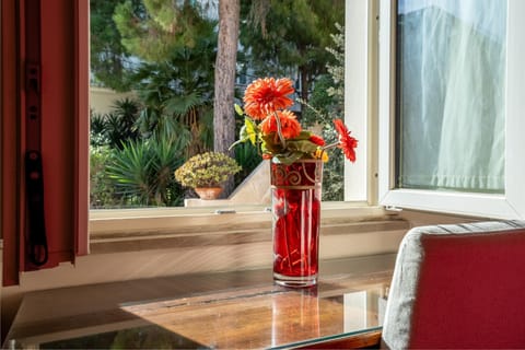 Garden, Seating area, Garden view