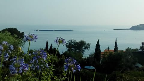 Garden view, Sea view