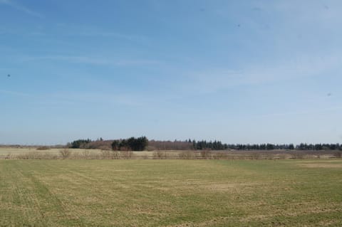 Ballum Hede 7 House in Region of Southern Denmark