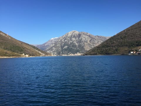 Apartments Ploski Condo in Kotor Municipality