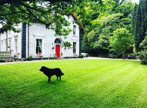Property building, Facade/entrance, Garden, Garden, Pets, Garden view
