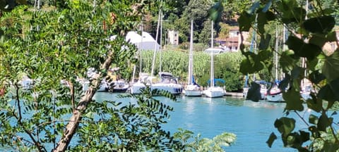 River view
