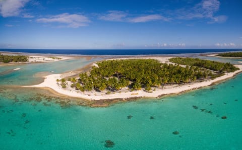 Natural landscape, Snorkeling, Beach