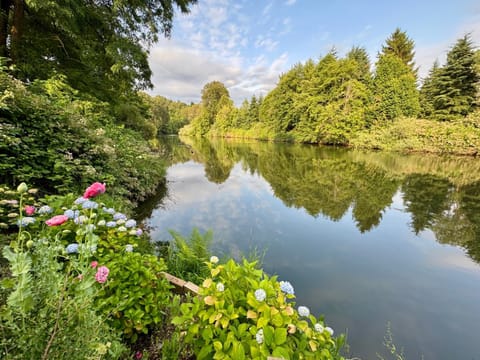 Natural landscape, River view