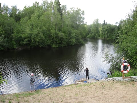 Natural landscape, Beach, River view