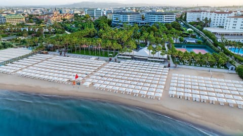 Bird's eye view, Beach, Sea view, sunbed