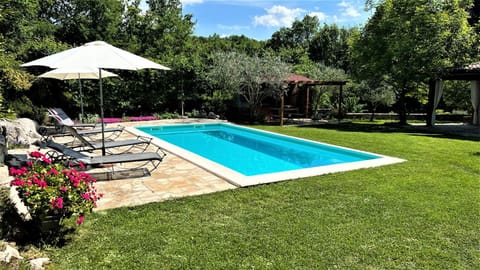 Garden, Swimming pool