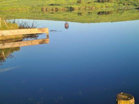 Lanark Mews Farm Stay in Auckland Region