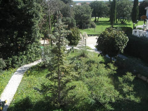 Location, children, Family