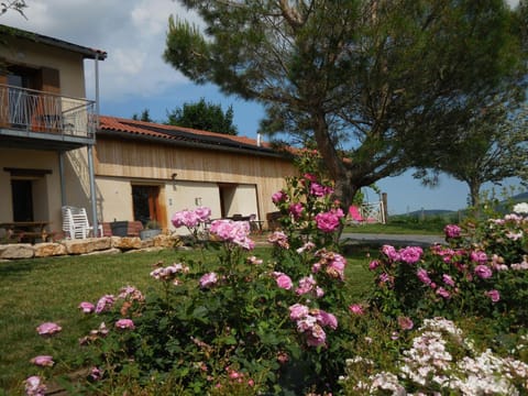 Property building, Facade/entrance, Garden