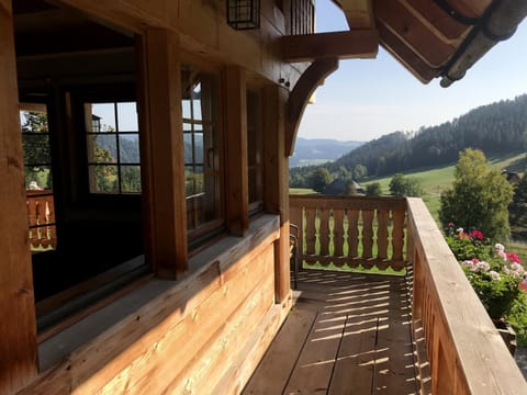 Urbanshof Ferienwohnungen Appartement in Hinterzarten