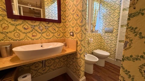 Shower, Toilet, Bathroom, bidet