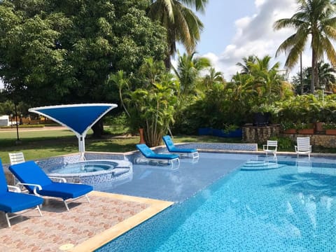 Garden, Pool view, Swimming pool