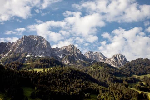 Regent Retreat Villa in Saanen