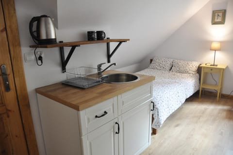 Bed, Kitchen or kitchenette, Photo of the whole room, Bedroom, minibar, stove