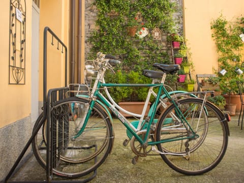 Patio, Garden, Balcony/Terrace
