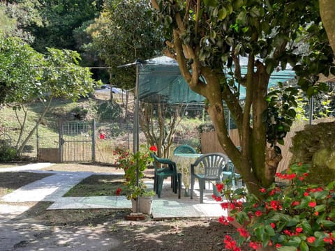 Garden, Dining area